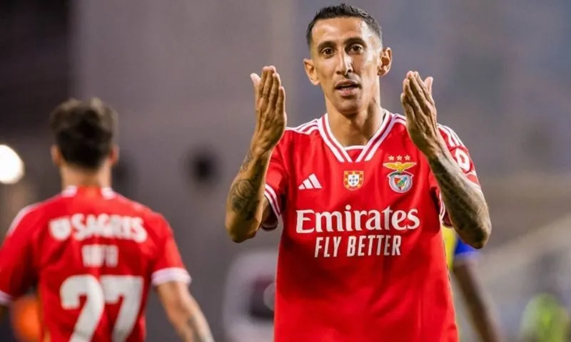 Các tố chất giúp Eusébio da Silva Ferreira ghi nhiều bàn thắng cho Benfica