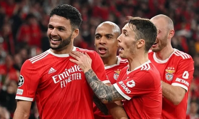 Ai sở hữu Benfica? Tìm hiểu về người sở hữu CLB Benfica