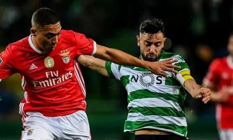 Những yếu tố ảnh hưởng đến bảng xếp hạng Benfica gặp Sporting 