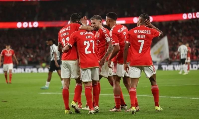 Lý do cổ động viên Bồ Đào Nha yêu thích Benfica là gì?