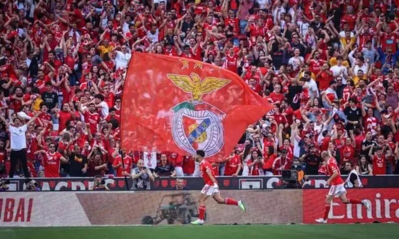 Lý do giúp Benfica có được lượng lớn người hâm mộ trên thế giới