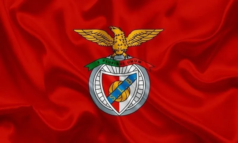 Logo Benfica là hình ảnh gì? Miêu tả chi tiết